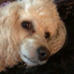 Meet your Posher, Gena